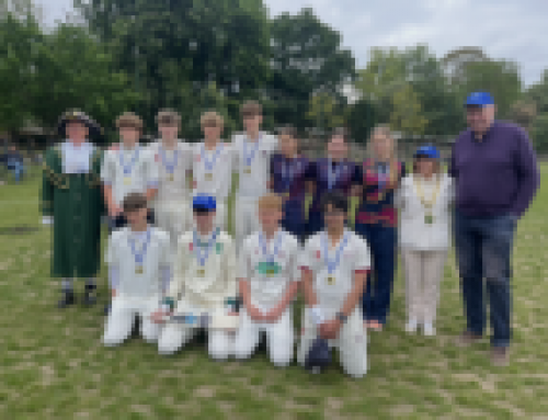 Partnership Cricket at Holland Park